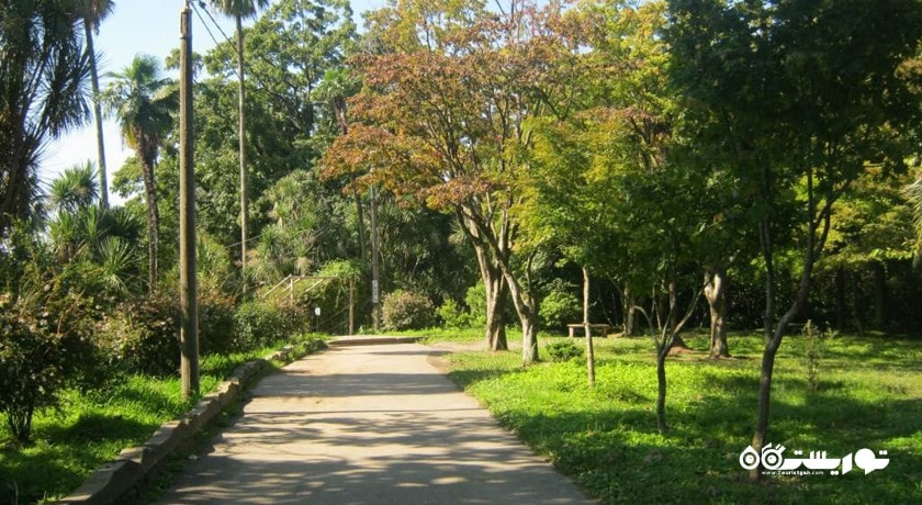 سرگرمی باغ گیاه شناسی باتومی شهر گرجستان کشور باتومی