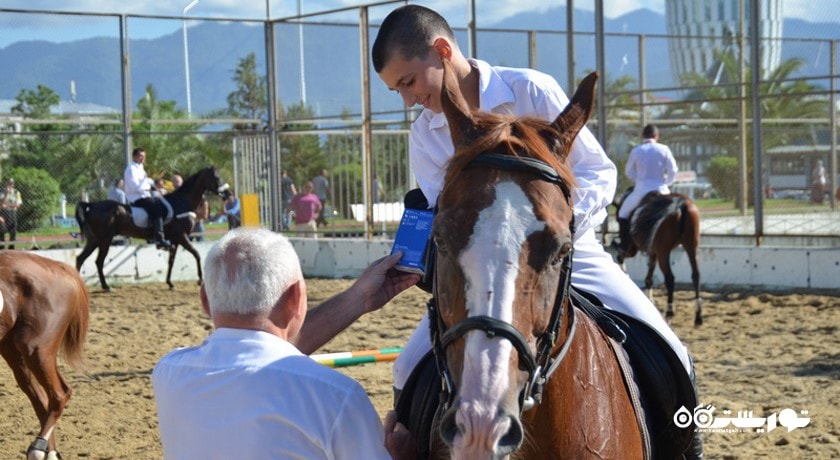 سرگرمی باشگاه سوارکاری باتومی شهر گرجستان کشور باتومی