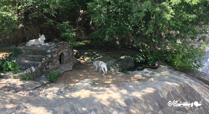 سرگرمی باغ وحش مسکو شهر روسیه کشور مسکو