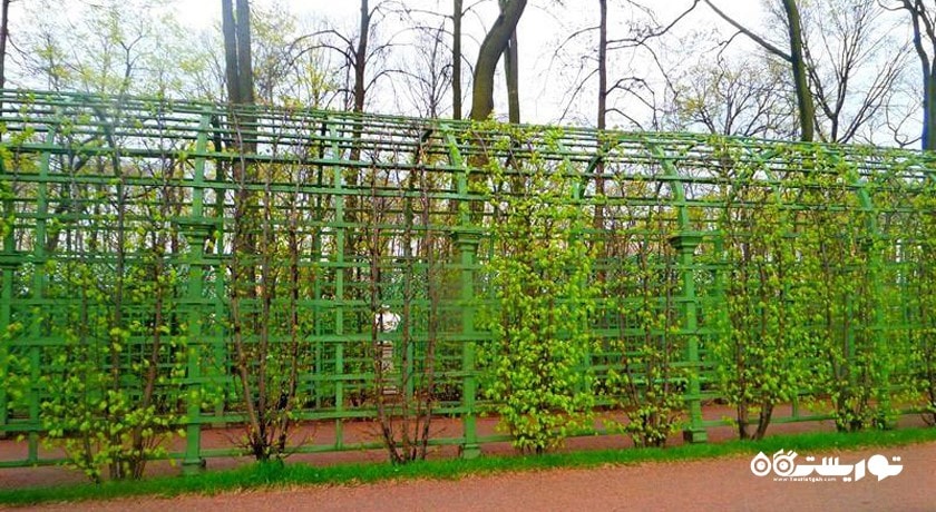 سرگرمی باغ تابستانی شهر روسیه کشور سن پترزبورگ