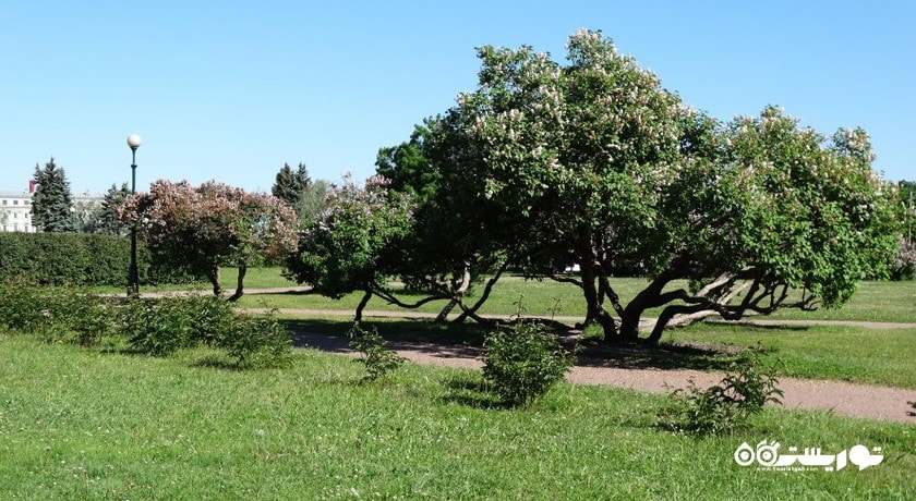 سرگرمی زمین مریخ شهر روسیه کشور سن پترزبورگ