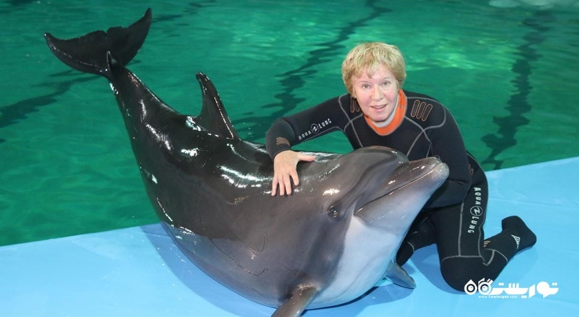 سرگرمی دلفیناریوم سن پترزبورگ شهر روسیه کشور سن پترزبورگ