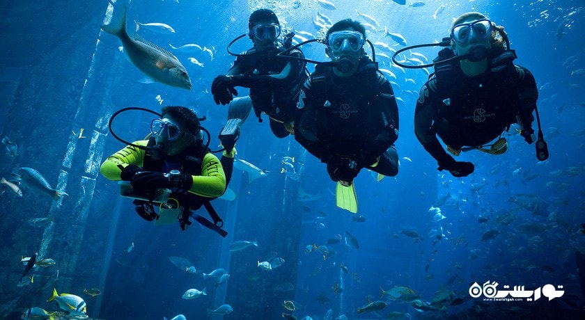 سرگرمی غواصی در دبی شهر امارات متحده عربی کشور دبی