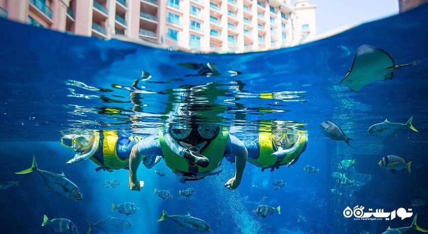سرگرمی غواصی در دبی شهر امارات متحده عربی کشور دبی