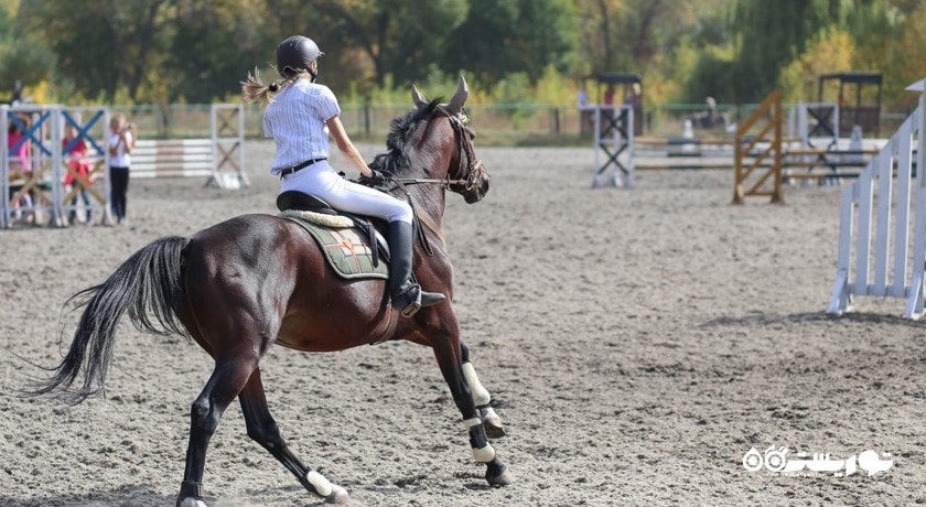 سرگرمی اسب سواری دبی شهر امارات متحده عربی کشور دبی