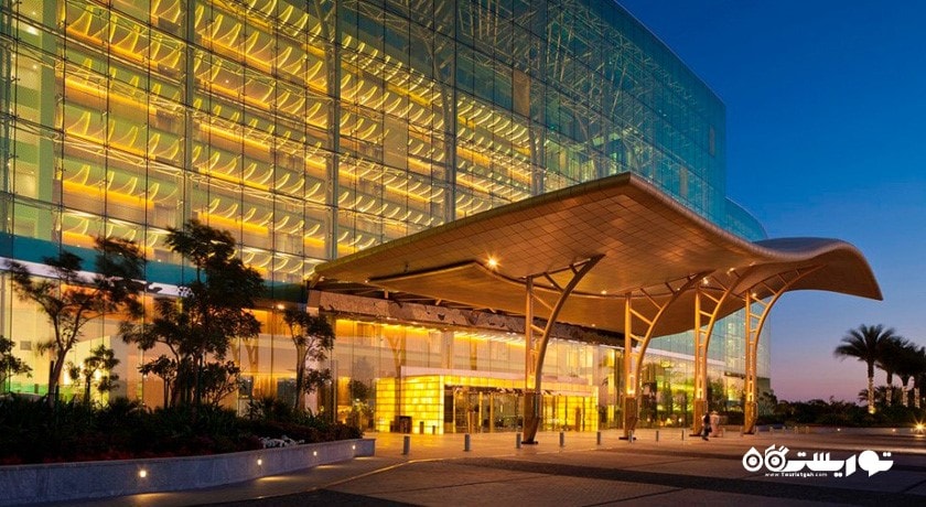 سرگرمی اسب سواری دبی شهر امارات متحده عربی کشور دبی