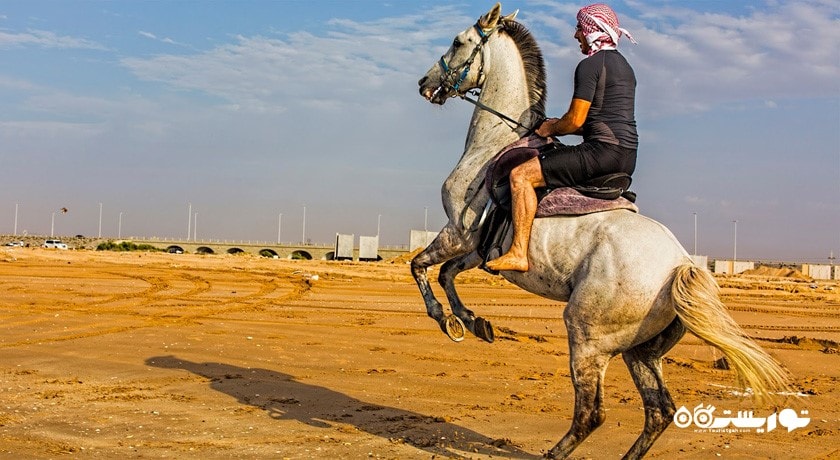 سرگرمی اسب سواری دبی شهر امارات متحده عربی کشور دبی