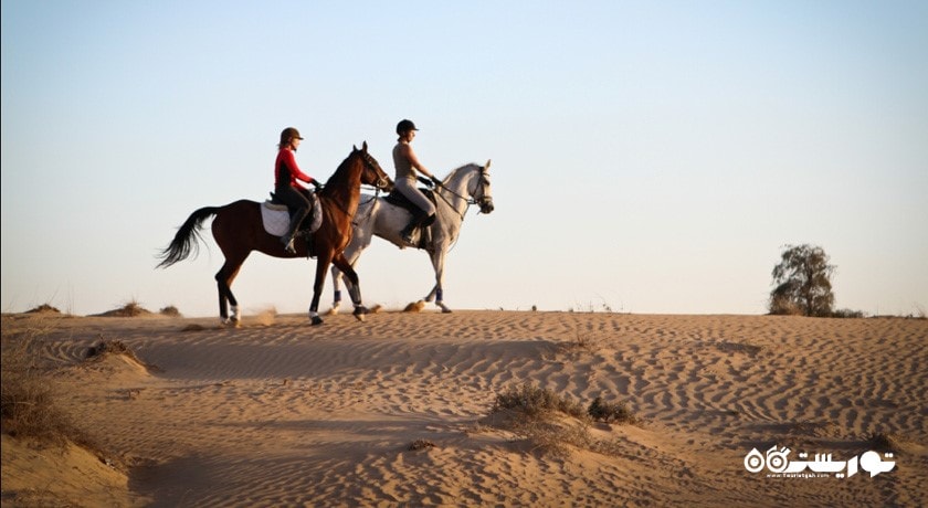 سرگرمی اسب سواری دبی شهر امارات متحده عربی کشور دبی