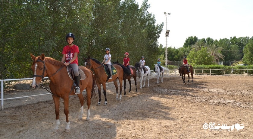 سرگرمی اسب سواری دبی شهر امارات متحده عربی کشور دبی