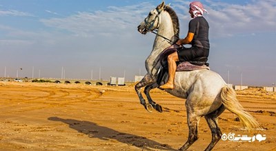 اسب سواری دبی -  شهر دبی