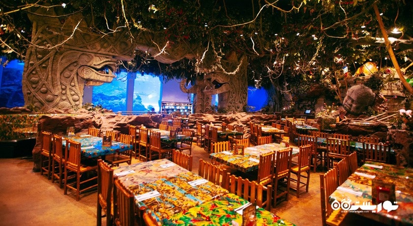 رستوران رینفارست کافه (کافه جنگل استوایی) شهر دبی 