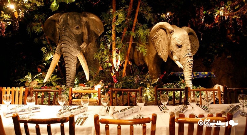 رستوران رینفارست کافه (کافه جنگل استوایی) شهر دبی 