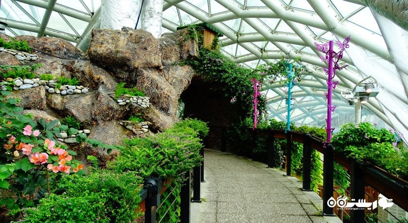 باغ پروانه های گرمسیری قونیه -  شهر قونیه