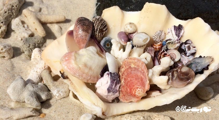 سرگرمی ساحل بنانا شهر تایلند کشور پوکت