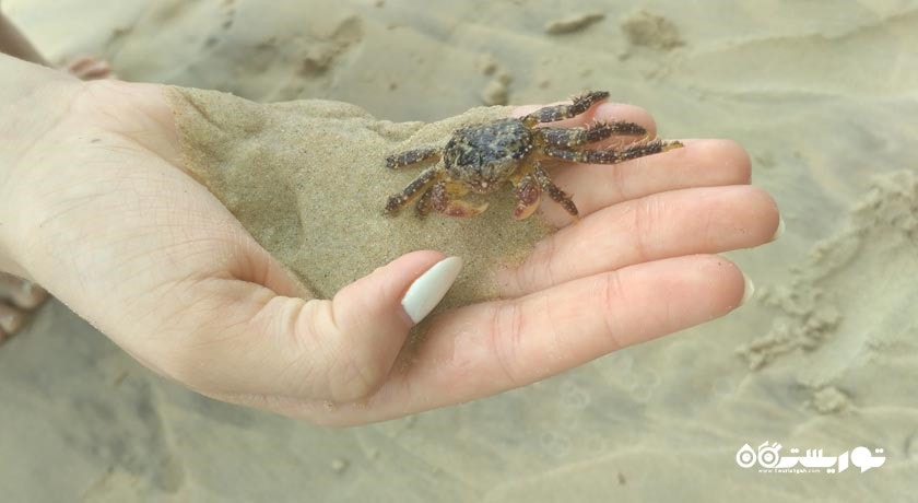 سرگرمی ساحل کاتا شهر تایلند کشور پوکت