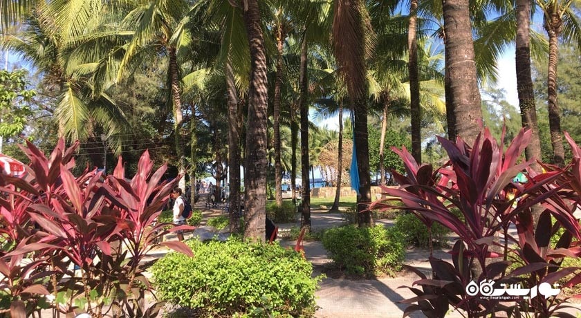 سرگرمی ساحل کامالا شهر تایلند کشور پوکت