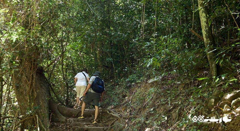 سرگرمی آبشار بانگ پائه شهر تایلند کشور پوکت