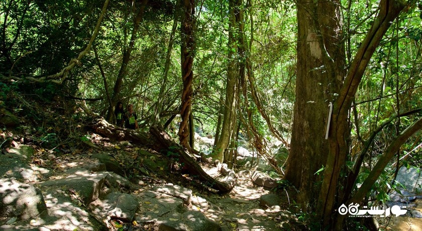 سرگرمی آبشار بانگ پائه شهر تایلند کشور پوکت