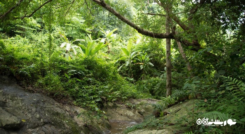 سرگرمی آبشار کتو شهر تایلند کشور پوکت