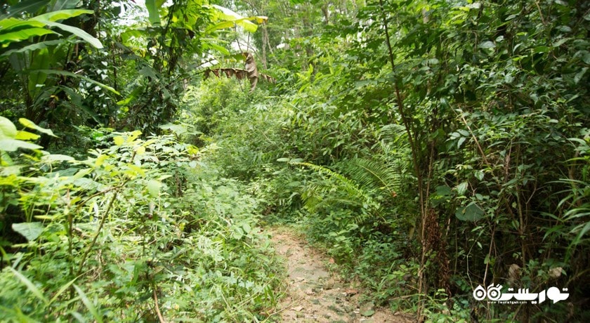 سرگرمی آبشار کتو شهر تایلند کشور پوکت