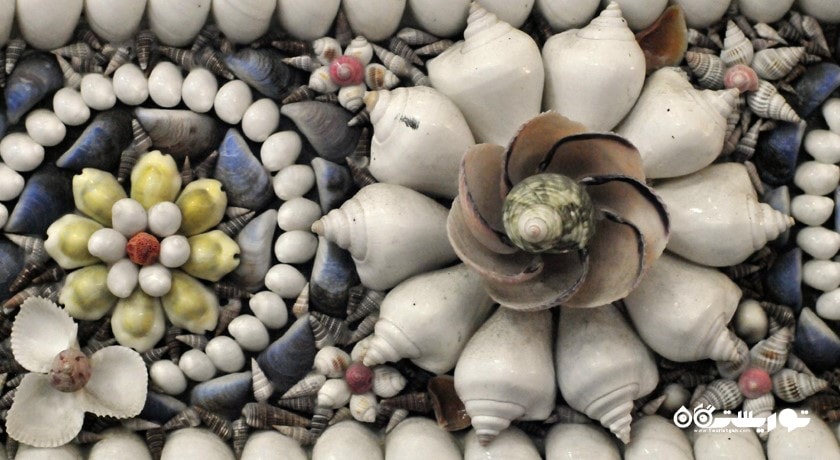 موزه صدف های دریایی پوکت -  شهر پوکت