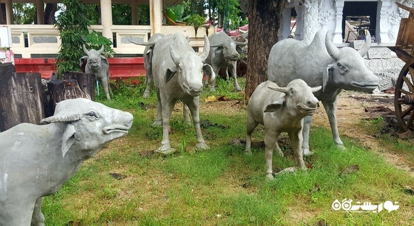  معبد وات پرانانگ سانگ شهر تایلند کشور پوکت