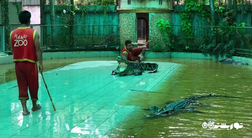 سرگرمی باغ وحش پوکت شهر تایلند کشور پوکت