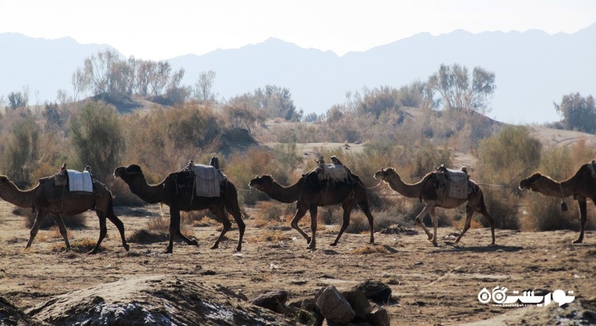  روستای بیاضه شهرستان اصفهان استان خور  و بیابانک