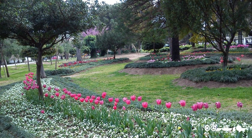  پارک کارا آلی اوعلو شهر ترکیه کشور آنتالیا