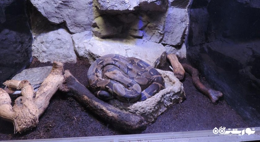  آکواریوم آنتالیا شهر ترکیه کشور آنتالیا