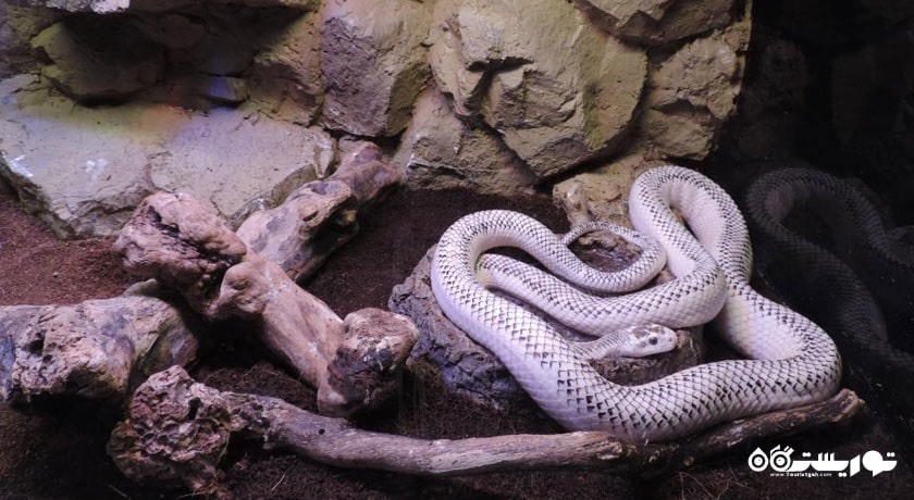  آکواریوم آنتالیا شهر ترکیه کشور آنتالیا