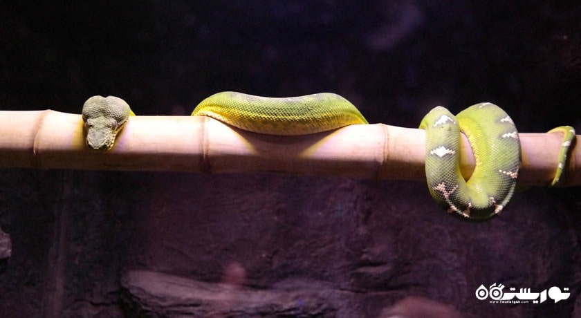  آکواریوم آنتالیا شهر ترکیه کشور آنتالیا