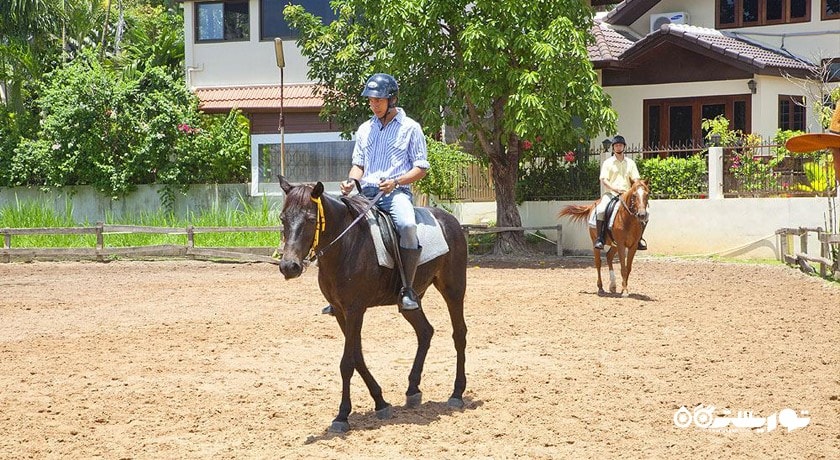 سرگرمی اسب سواری در پوکت شهر تایلند کشور پوکت