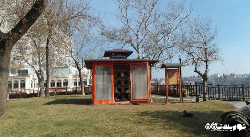  پارک یووز اوزجان شهر ترکیه کشور آنتالیا