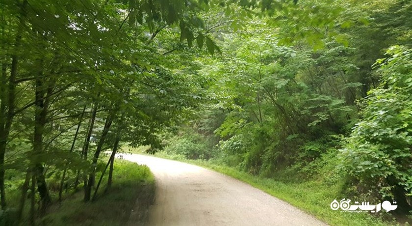  جنگل و آبشار پلنگ دره شهرستان مازندران استان شیرگاه