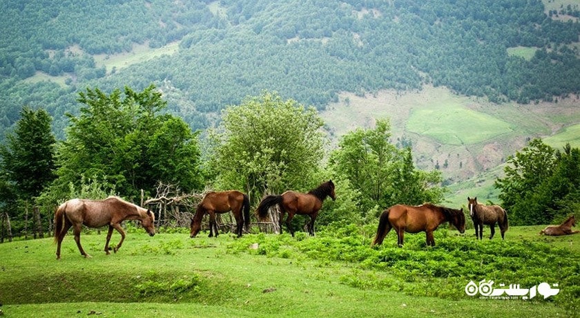 خلخال -  شهر اردبیل