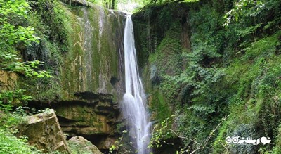 جنگل هیرکانی -  شهر مازندران