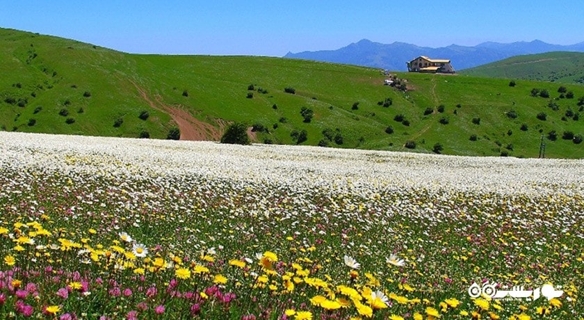 جنگل فندق لو -  شهر اردبیل