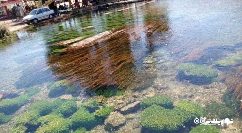 چشمه دیمه -  شهر چهار محال و بختیاری