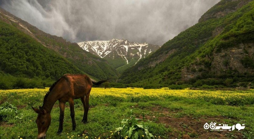  دشت دریاسر شهرستان مازندران استان تنکابن