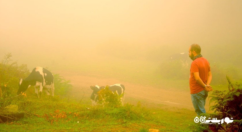 ییلاق بره سر -  شهر گیلان