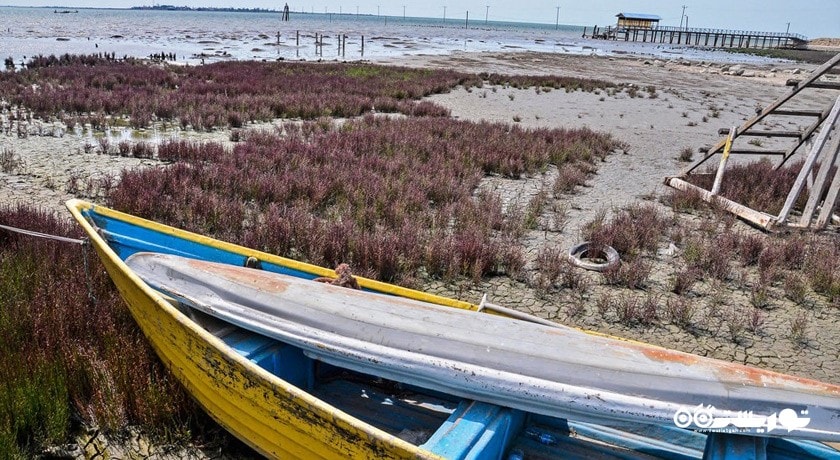  خلیج گرگان شهرستان گلستان استان بندر گز	