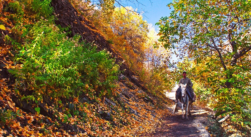  روستای آهار شهرستان تهران استان اوشان، فشم و میگون