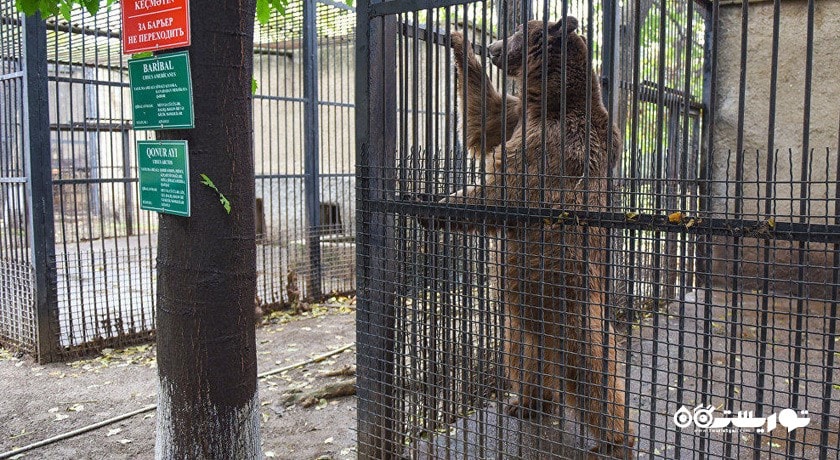 سرگرمی باغ وحش باکو شهر آذربایجان کشور باکو