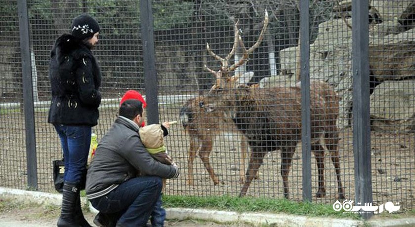 سرگرمی باغ وحش باکو شهر آذربایجان کشور باکو