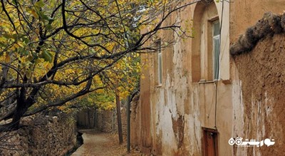 شهمیرزاد -  شهر سمنان