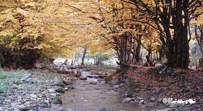  جنگل و چشمه نیلبرگ رامیان شهرستان گلستان استان رامیان