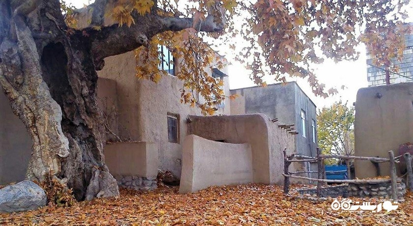 روستای قلعه بالا  -  شهر شاهرود	