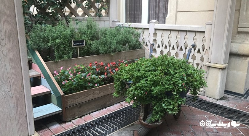 رستوران رستوران ماریوانا باکو شهر باکو 