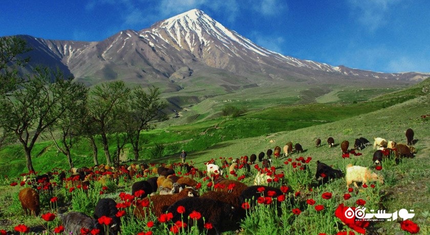 پلور مازندران -  شهر آمل